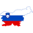 SIDT emblem