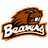 BVRS emblem
