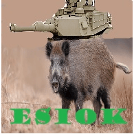 ESIOK emblem