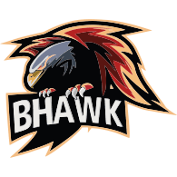 BXAWK emblem