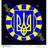 AAVQM emblem