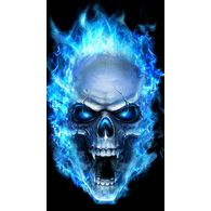 CSCSR emblem