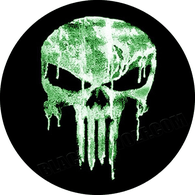 21_PI emblem