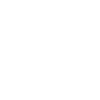 DIIA emblem