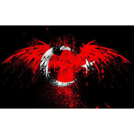 -KARA emblem