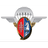 1RCF emblem