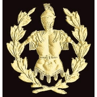 RNV emblem