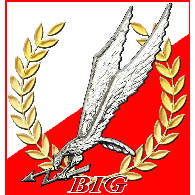 BI-G emblem