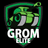EGROM emblem