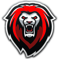 NAP4D emblem