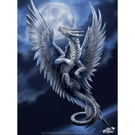 N_P_N emblem