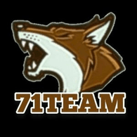-71T- emblem