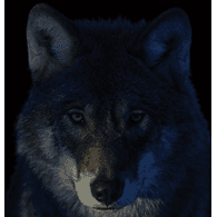 GW0LF emblem
