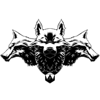 V_F_K emblem