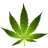KRG_9 emblem