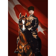 -TURK emblem