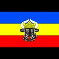 PZTM emblem
