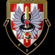 SKOK emblem