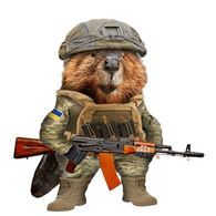 _B0_ emblem