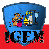 1GEM emblem