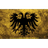 GMSR emblem