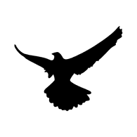 HE6O emblem