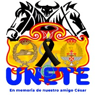 UNETE emblem