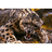 KRGKZ emblem