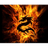 RIPX emblem
