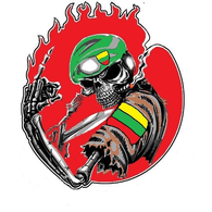 VR40 emblem