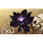 BL_AR emblem