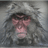 -RST emblem