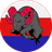 -RDH- emblem