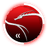 13TH- emblem