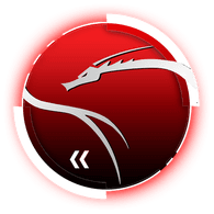 13TH- emblem