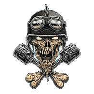 R1S3N emblem