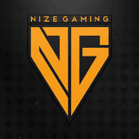 NIZE emblem