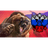 VIPKA emblem