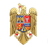 R0 emblem