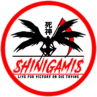 S-INS emblem