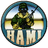 HAMI emblem