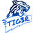 TIG3R emblem