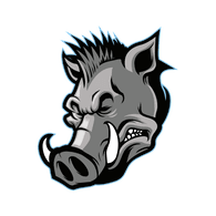 T_S_A emblem
