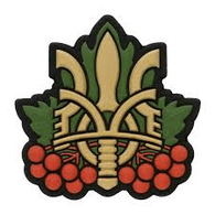 LUS emblem