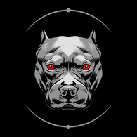 HYZ emblem