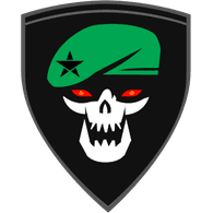 IID emblem