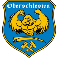 CH4 emblem