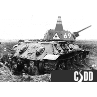 CSDD emblem