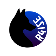 R4ISE emblem