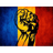 DRYNS emblem